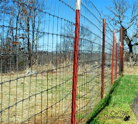 fencing  goats oak hill homestead