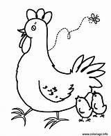 Facile Coloriage Poule Colorir Galinha Dessin Imprimer Hen Hens Coloringhome Rooster sketch template