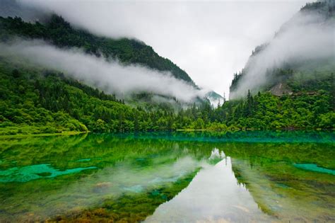 jiuzhaigou nature reserve china lake clear water trees mountain clouds  colored lake