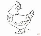 Coloring Hen Chicken Pages Kids Drawing Color Outline Red Rooster Little Printable Chickens Cartoon French Hens Cute Vector Sheets Usmc sketch template