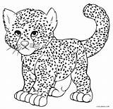 Cheetah Drawing Coloring Pages Printable Baby Getdrawings King sketch template