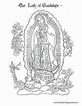 Guadalupe Coloring Virgen Pages Lady Getcolorings Getdrawings Printable sketch template