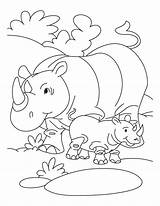 Coloring Pages Rhinoceros Printable Kids Rhino Rhinos Cartoon Baby sketch template