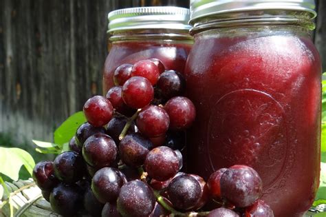 grape jelly  sugar canning recipe rural mom