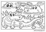 Alligator Colorear Reptiles Cocodrilo sketch template