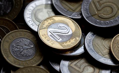 zloty  leading gains  rate hikes support central european