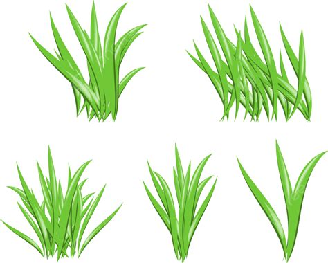 clipart rumput vektor kartun rumput rumput lucu rumput hijau png