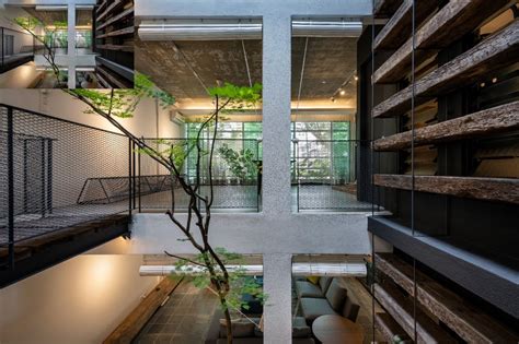 malaysian terrace houses transformed  homes  embrace nature
