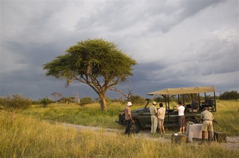 sandibe okavango safari lodge safari holidays  africa