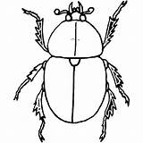 Beetle Coloring Dung Pages Colouring Sheet Color Designlooter Template 600px 12kb sketch template