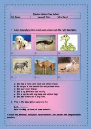 pets worksheets