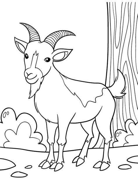 cute goat coloring page funny coloring pages