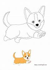 Corgi Puppies sketch template