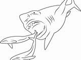 Megalodon Coloring Shark Pages Printable Print Sharks Book Drawing Scary Color Getcolorings Getdrawings Divyajanani sketch template