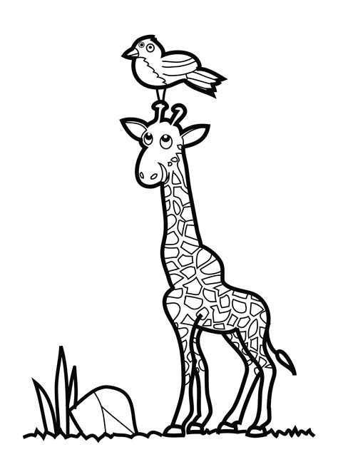 giraffe black  whiote drawing  children printable clipart