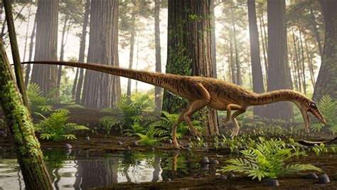 dinosaur   early ancestor   rex   vicious