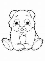 Panda Kleurplaat Schattige Kleurplaten Tekeningen Leuke Makkelijke Cute766 Pixel sketch template