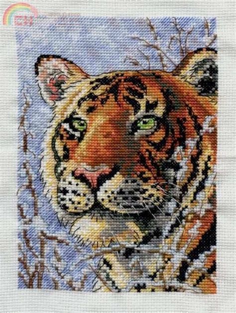 tiger cross stitch cross stitch animals pinterest cross stitch