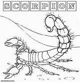 Scorpion Coloring Pages Print Comments Desert Colorings sketch template