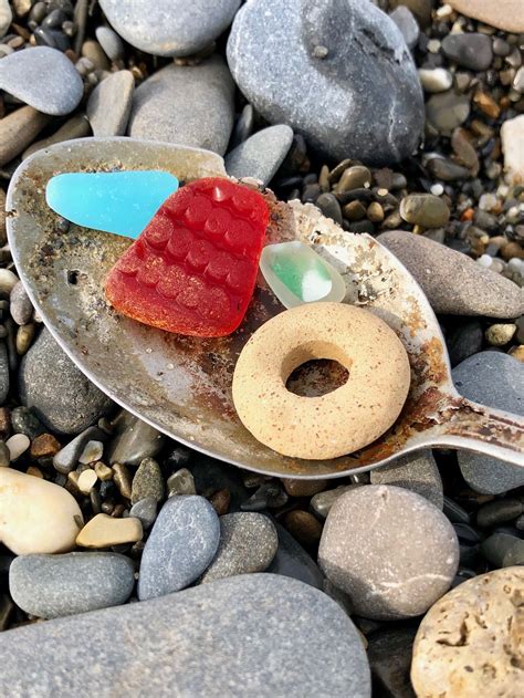 beach finds river thames driftwood sea glass shells stones pottery beach decorative