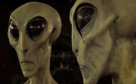 aliens lived  earth  years  newly discovered sculptures leave ufo scientists amazed