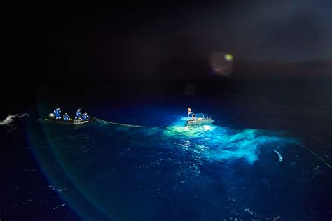expedition team  record breaking dive  bottom  mariana trench