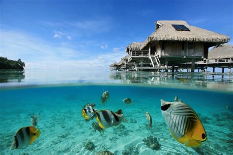 Tahiti S Iconic Over Water Bungalows Are 50 Years Old
