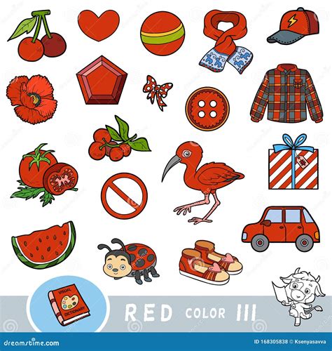 colorful set  red color objects visual dictionary  children