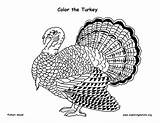 Turkey Coloring Pdf Diagrams Resolution High sketch template