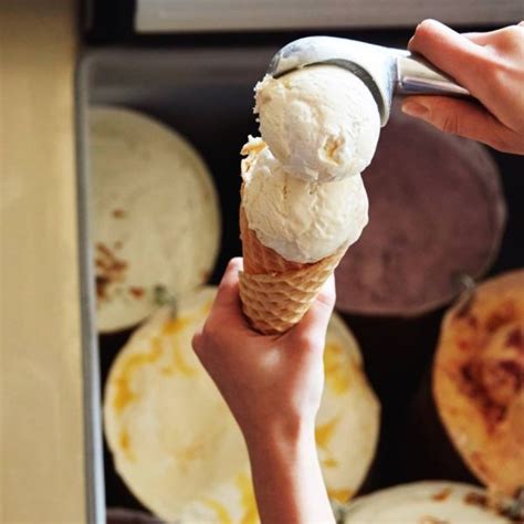 Discovernet The Best Ice Cream Shop In Every State
