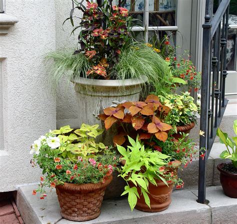 garden housecalls containerscaping   potted plants