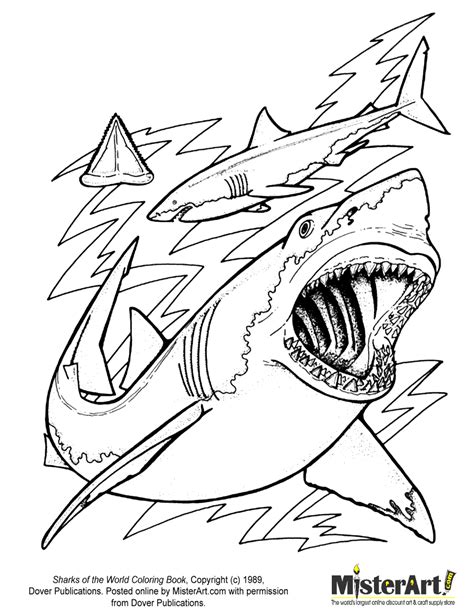 coloring page sharks   world coloring book