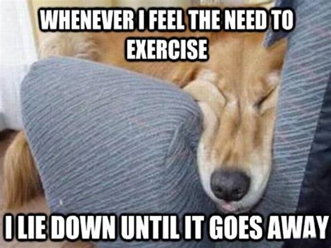 funny fitness memes diet and fitness