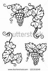 Uvas Pyrography Grape Pirograbado Weintrauben Muster Brandmalerei Vines Bordado Fruta sketch template