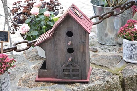 building  bird house cockatiels  pets