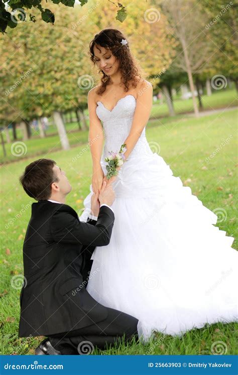 young bride  bridegroom stock  image