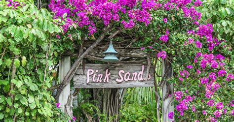 pink sands resort bahamas air tours