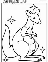 Coloring Kangaroo Tree Pages Outline Leaves Without Drawing Getcolorings Getdrawings sketch template