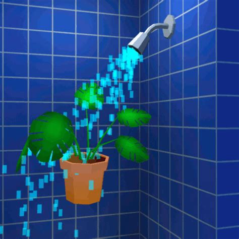 shower houseplant find and share on giphy