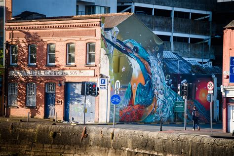 stunning kingfisher mural   conservation theme  unveiled