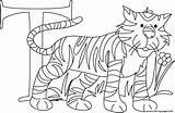 Coloring Tiger Pages Alphabet Printable Tigers Popular sketch template