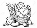 Basket Vegetables Clipart Drawing Line Fruits Vegetable Vector Food Stylized Drawings Coloring Illustration Stock Sketches Getdrawings Pages Clipartmag Shutterstock Cabbage sketch template