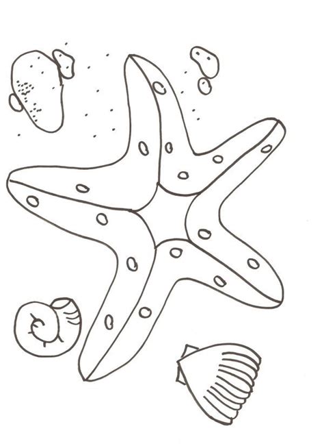 printable starfish coloring pages amazing starfish coloring