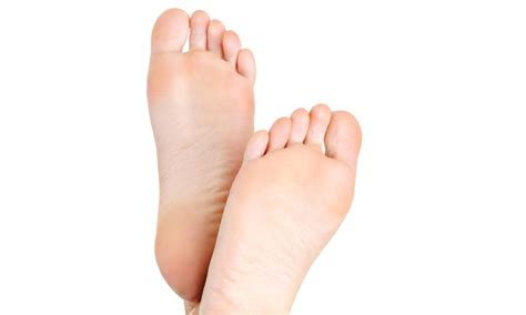 foot reflexology xindy foot spa groupon