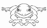 Frog Coloring Pages Kids Jumping Print Forget Supplies Don sketch template