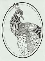 Peacock Zentangle Kwok sketch template