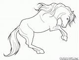 Cavalos Cavalo Zeloso sketch template