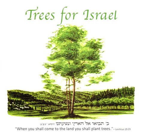 trees  israel