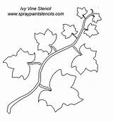 Ivy Vine Stencil Vines Stencils Leaf Leaves Printable Tattoo Template Tattoos Gif Downloads Tree Print Spraypaintstencils Templates Poison Drawing Painting sketch template