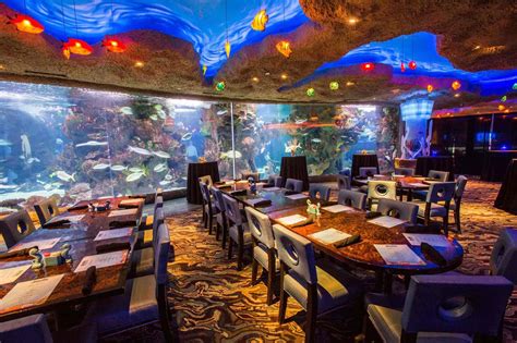 worlds  underwater restaurant  bar  enhanced